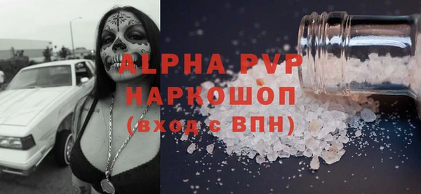 сатива Волоколамск