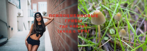 сатива Волоколамск