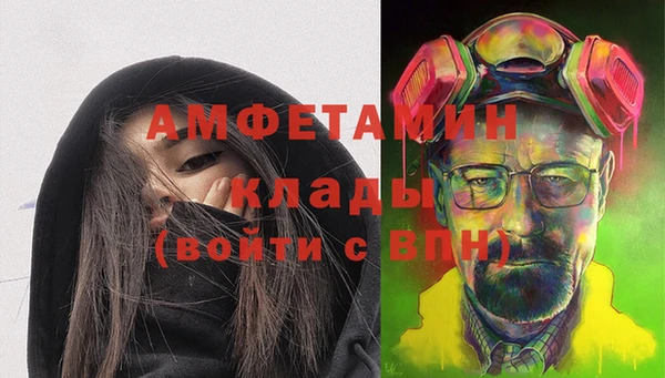 сатива Волоколамск