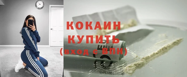 сатива Волоколамск