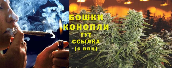спиды Волосово