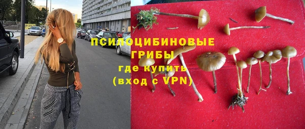 спиды Волосово