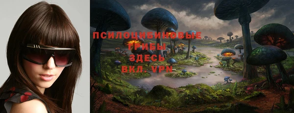 сатива Волоколамск