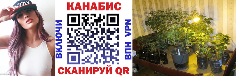 как найти закладки Абакан Бошки Шишки планчик
